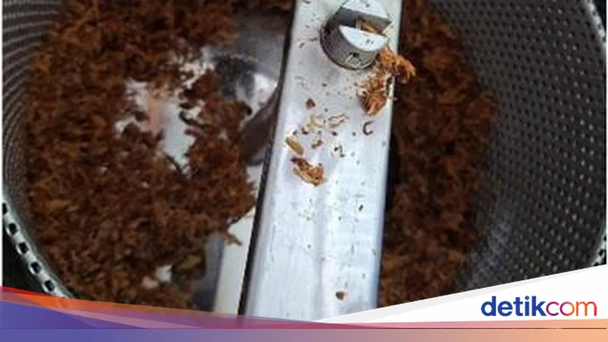 Kios Tani: Jantung Berdenyut di Jantung Binangun
